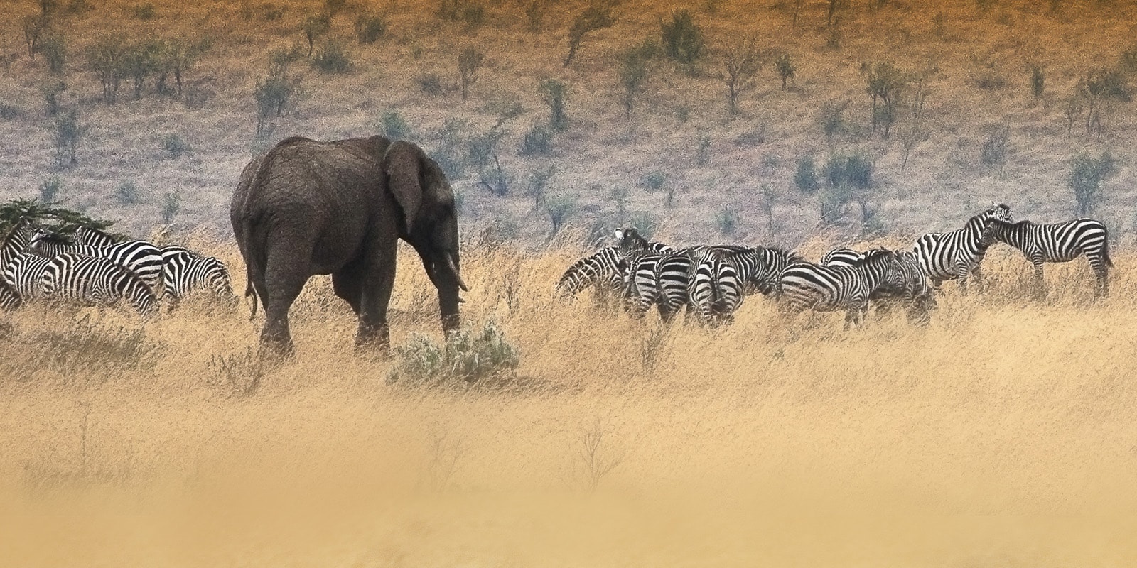 OCOA-TRAVEL-KENIA-3-min