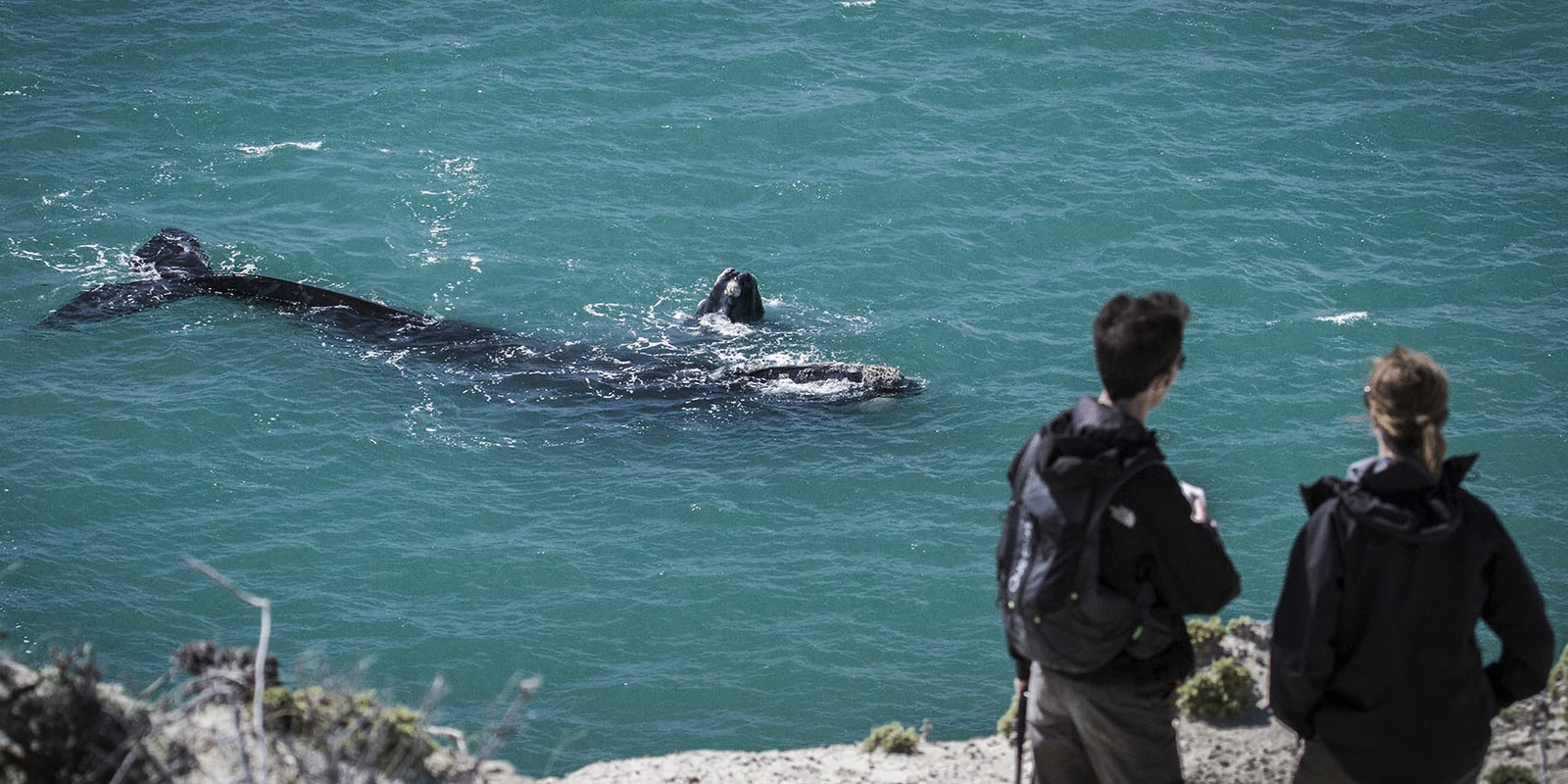 OCOA-TRAVEL-RINCON-CHICO-PENINSULA-VALES-ARGENTINA-7