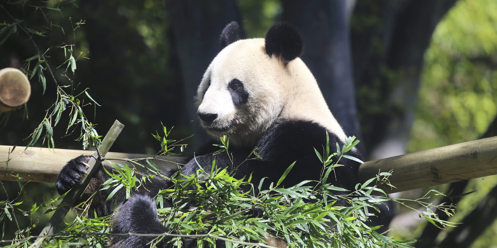 OCOA-TRAVEL-VIAJES-EN-FAMILIA-4-JAPAN