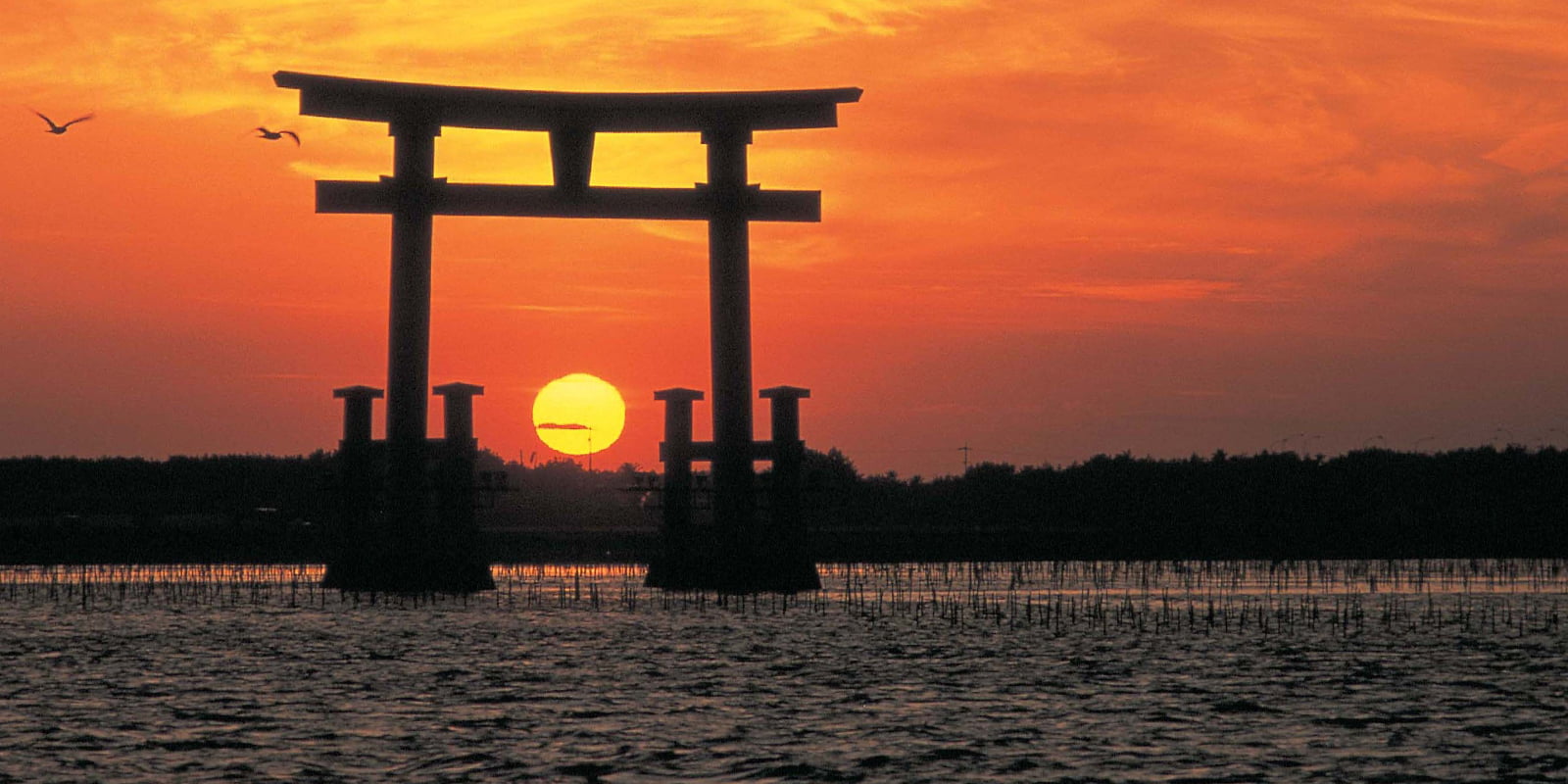 OCOA-TRAVEL-HONEYMOON-JAPAN1